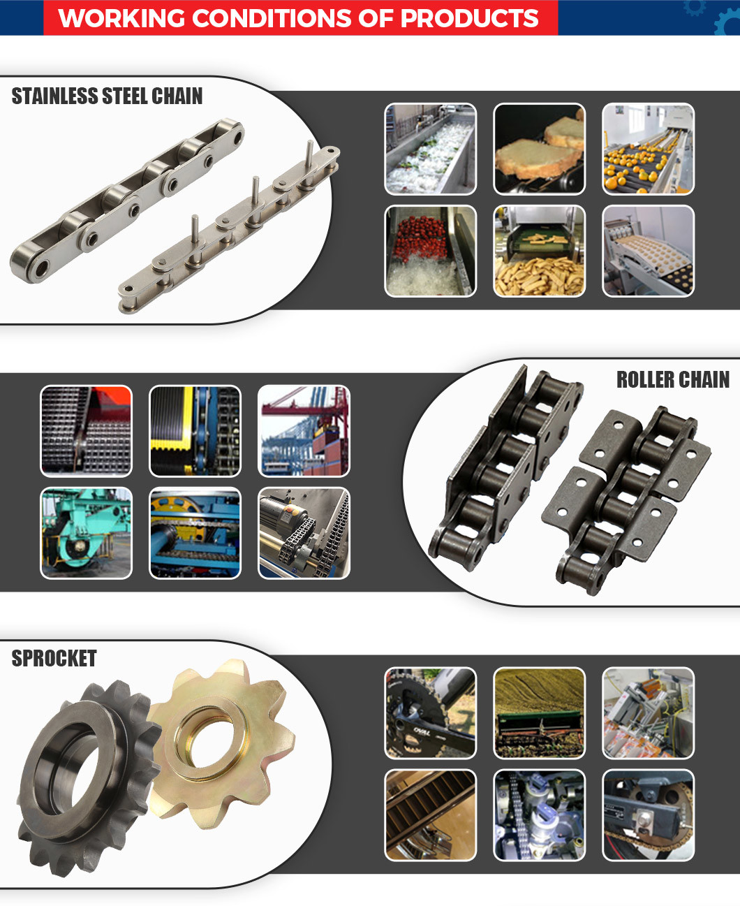 Piñón industrial de acero inoxidable de alta precisión, cadena especial personalizada profesional, fabricado en China